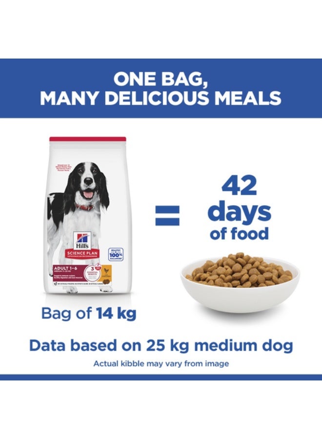 Hills Hill’s Science Plan Medium Adult Dog Food Chicken 14kg – Complete Dry Food for Medium Breed Dogs 1–6 Years | Healthy Digestion, Skin & Coat Support - Image 2