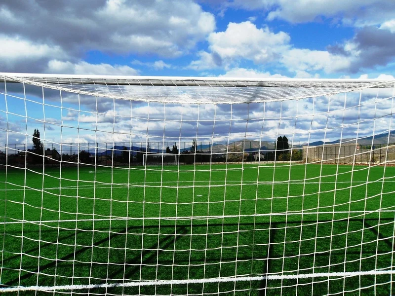 adelinspor Silver Football Goal Net 7.32*2.44*2.0 M, 3 mm