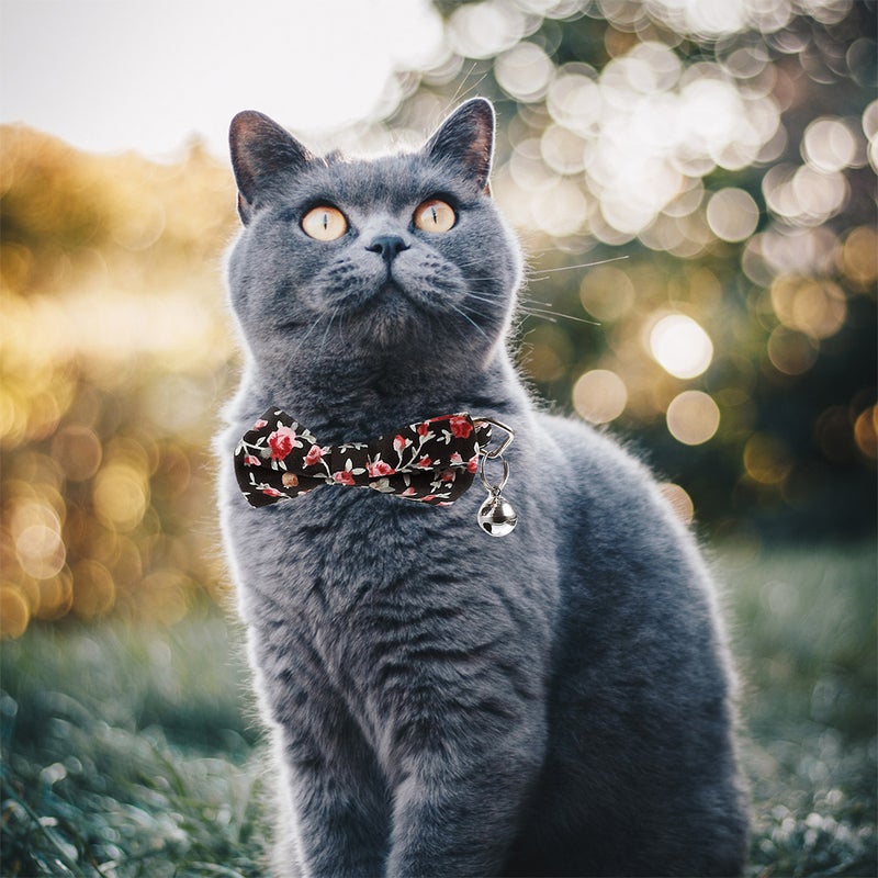 🐾 طوق قطط لطيف مع ربطة للقطة والكلب مريح للارتداء بوليستر قطن نايلون ٢ قطع - Image 4