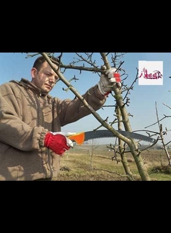 ABBASALI Plastic Handle Garden Pruning Hand Saw For Woodworking - Image 2