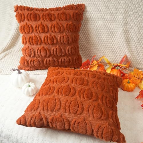 GEEORY Fall Pillow Covers 18 x 18 Inch Set of 2, Fall Decorations Pumpkins Soft Plush Fluffy Faux Fur Wool Decorative Autumn Thanksgiving Farmhouse Cushion Case for Sofa Rust GC001-18 - Image 5