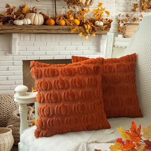 GEEORY Fall Pillow Covers 18 x 18 Inch Set of 2, Fall Decorations Pumpkins Soft Plush Fluffy Faux Fur Wool Decorative Autumn Thanksgiving Farmhouse Cushion Case for Sofa Rust GC001-18 - Image 4