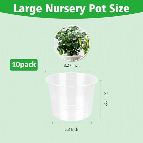 DUNPUTE 8 Inch Large Clear Nursery Pots with Drainage, 10 Pack Plastic Pots for Plants, Ideal Seedling Pots and Plant Pots for Vegetables, Orchids, Aloe, Indoor Outdoor Use (8 inch-10 Pack) - Image 2