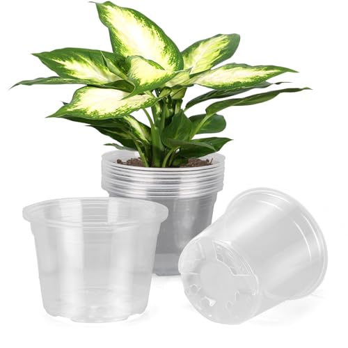DUNPUTE 8 Inch Large Clear Nursery Pots with Drainage, 10 Pack Plastic Pots for Plants, Ideal Seedling Pots and Plant Pots for Vegetables, Orchids, Aloe, Indoor Outdoor Use (8 inch-10 Pack) - Image 1