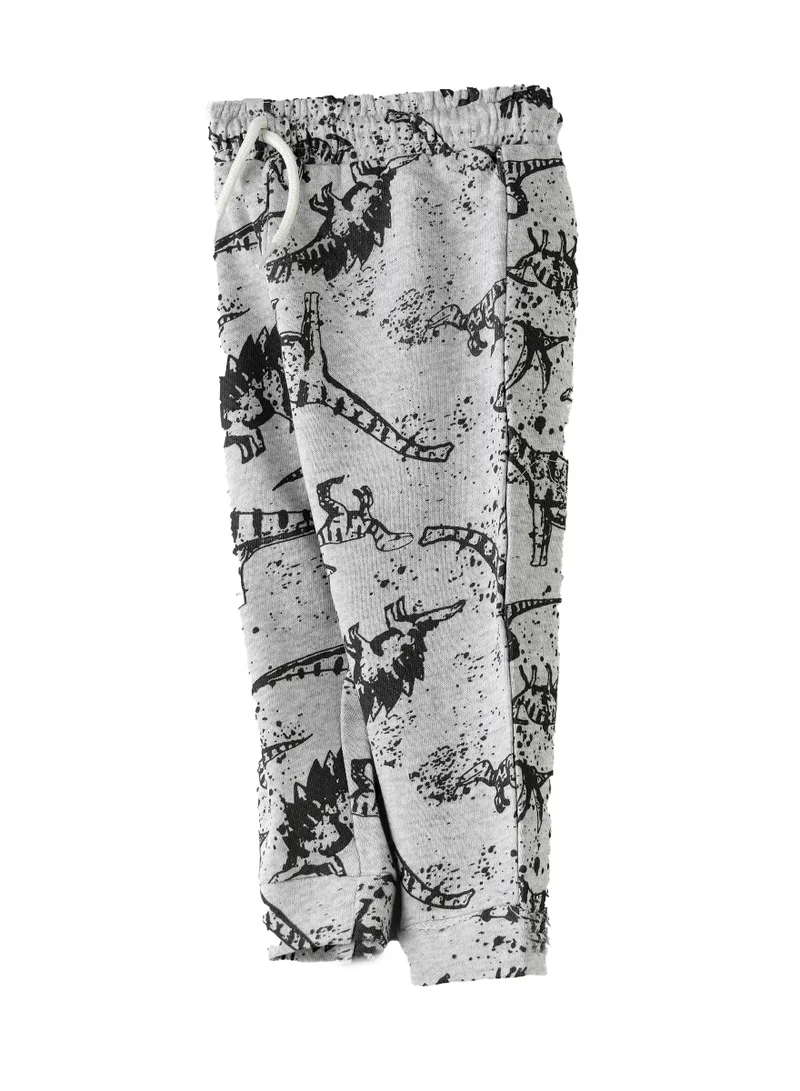 JAM Boys Grey Dinosaur Joggers