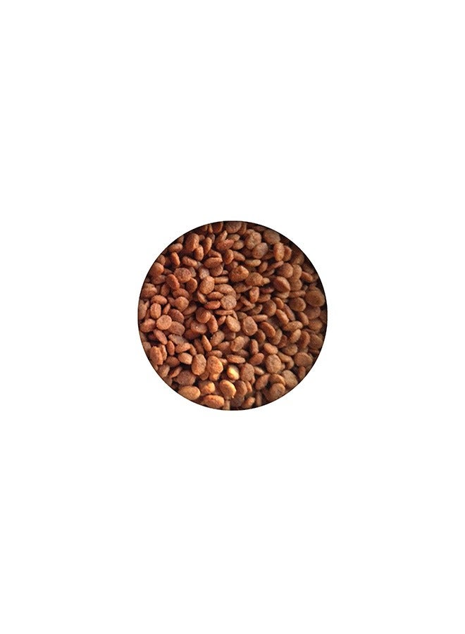 INABA Ciao Sugoi Crunchy Tuna - 1.14 KG - Image 2