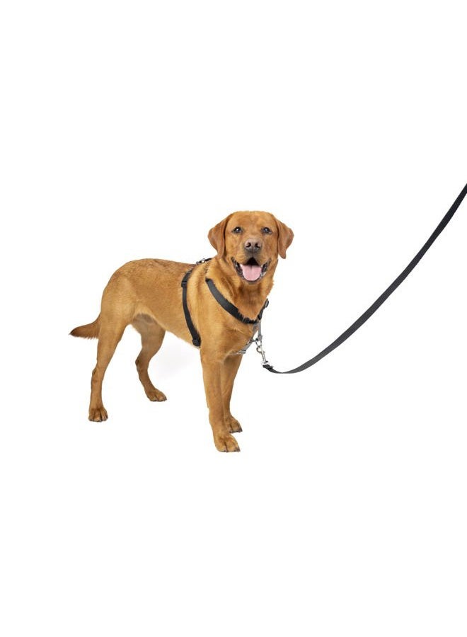 PetSafe 3 in 1 Dog Harness - No Pull Solution for Dogs - Reflective Dog Harness - Front D-Ring Clip Helps Stop Pulling - Comfortable Padded Straps - Top Handle Enhances Control - Black - Large  - Image 1