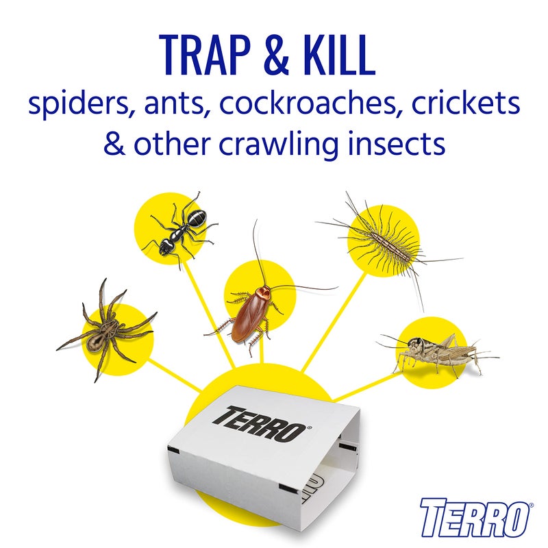 TERRO Spider & Insect Trap T3206-10 - Pack of 10 Insect Traps - Image 2