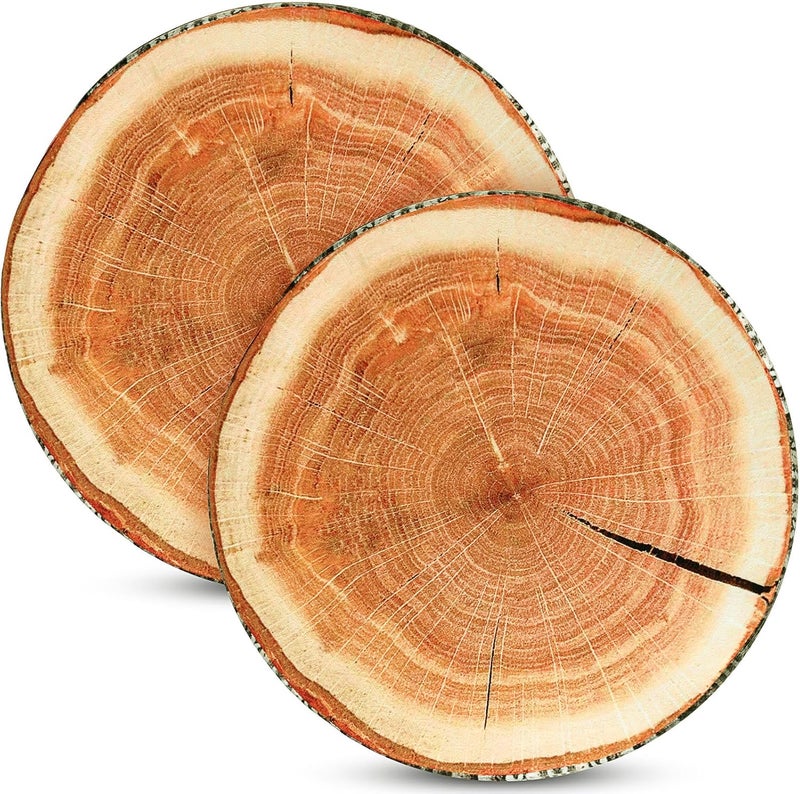 Queekay 2 Pcs Round Throw Pillow Decorative Wood Slice Floor Cushion 3D Digital Printing Forest Decor Soft Circle Pillow Cute Stump Camping Memory Foam for Home Chair Bedroom DecorEmulation - Image 1