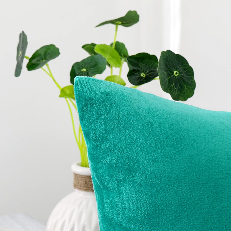 NiNi ALL Decorative Throw Pillow Covers Velvet Soft for Couch Sofa Bedroom Living Room Outdoor Pack of 2 18x18 Inch Aqua Green - Image 3