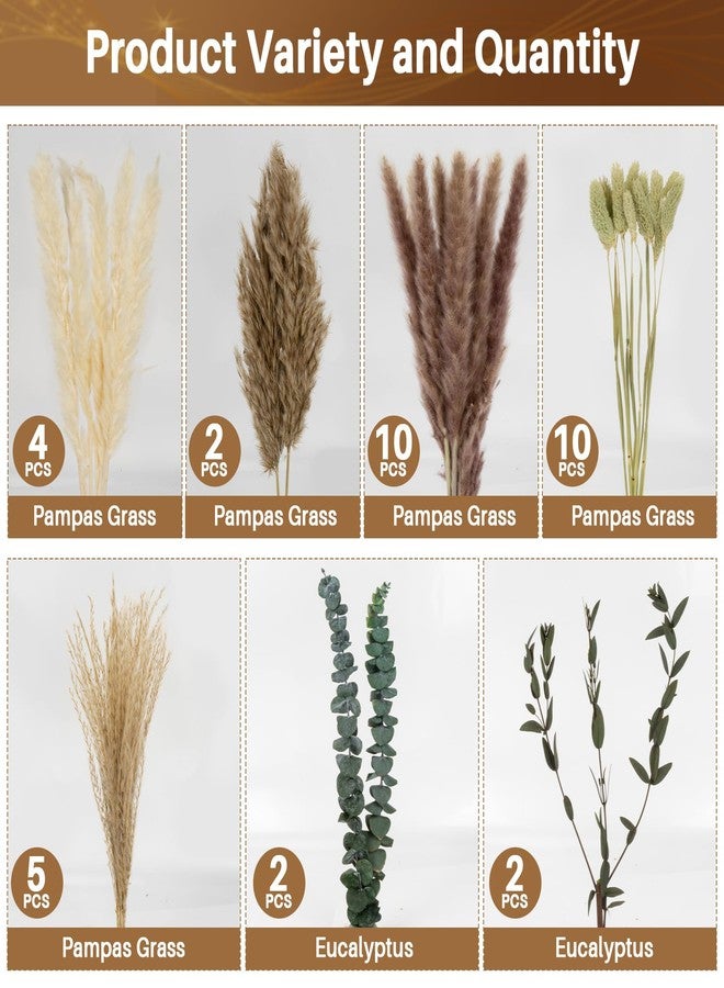 Rainflow مجموعة رين فلو من 35 قطعة من زهور البامباس المجففة الطبيعية لتزيين ديكورات البوهو الغربية، وزهور ريفية لتزيين طاولات حفلات الزفاف والمنازل وغرف النوم. - Image 3