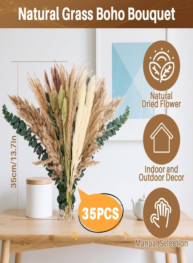 Rainflow مجموعة رين فلو من 35 قطعة من زهور البامباس المجففة الطبيعية لتزيين ديكورات البوهو الغربية، وزهور ريفية لتزيين طاولات حفلات الزفاف والمنازل وغرف النوم. - Image 2