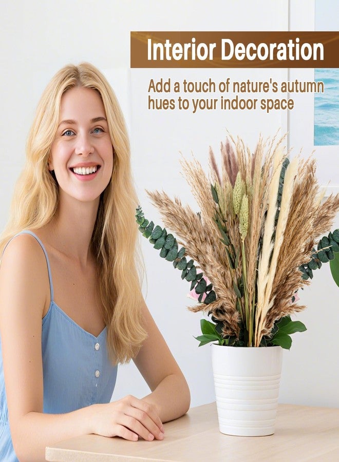 Rainflow مجموعة رين فلو من 35 قطعة من زهور البامباس المجففة الطبيعية لتزيين ديكورات البوهو الغربية، وزهور ريفية لتزيين طاولات حفلات الزفاف والمنازل وغرف النوم. - Image 4