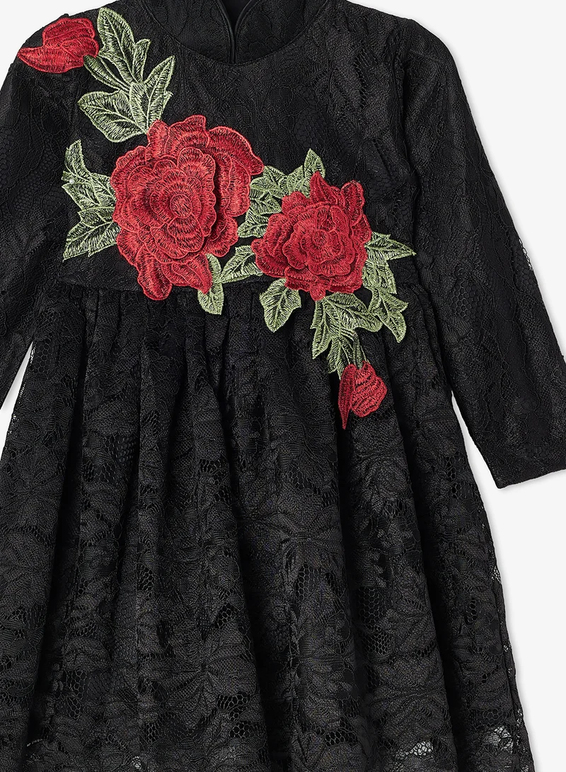 Little Golden Apple Little Embroidery Dress