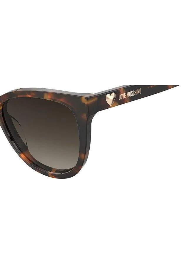 Love Moschino  Cat Eye Moschino Love Sunglasses Frames  | Best Price UAE