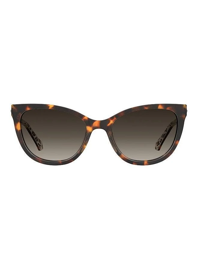 Love Moschino  Cat Eye Moschino Love Sunglasses Frames  | Best Price UAE