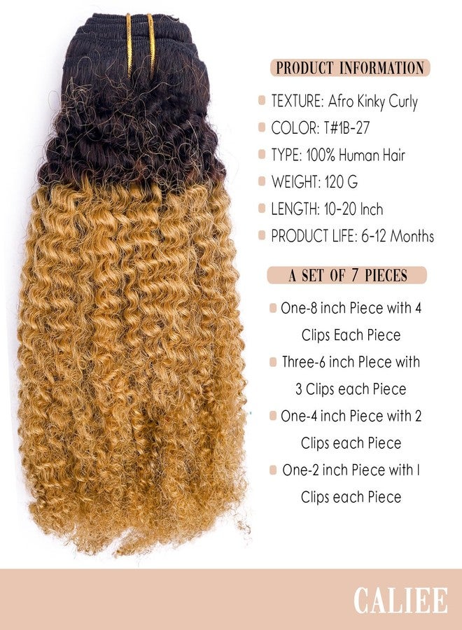 Caliee Virgin Hair Afro Kinky Curly Clip ins Human Hair Extension Brazilian 4A and 4B Curly for African American Black Women Ombre Brown Blonde 120 Gram,14 Inch - Image 4