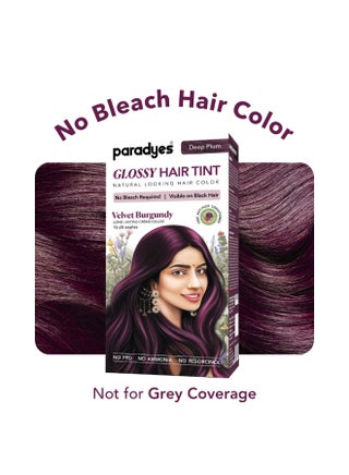 No Bleach Velvet Burgundy Glossy Hair Tint - Ammonia-Free for Natural Black Hair, Includes Anti-Fade Conditioner for Long-Lasting Shine, 1 Count - view 2