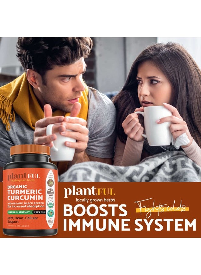 PLANTFUL RESEARCH - Organic Turmeric Supplement with Black Pepper Highest Potency USDA Certified [Non-GMO Organic Curcumin 2115mg] Antioxidant Joint & Immune Support 120 Tablets - Image 1