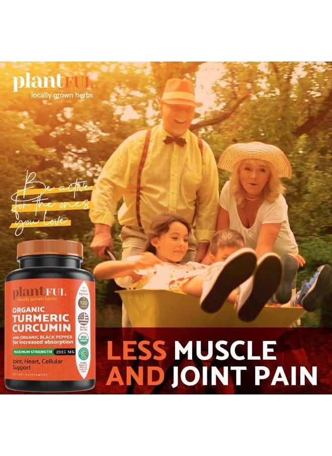 PLANTFUL RESEARCH - Organic Turmeric Supplement with Black Pepper Highest Potency USDA Certified [Non-GMO Organic Curcumin 2115mg] Antioxidant Joint & Immune Support 120 Tablets - Image 1