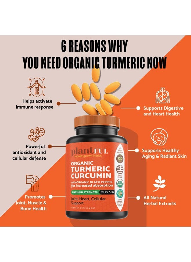 PLANTFUL RESEARCH - Organic Turmeric Supplement with Black Pepper Highest Potency USDA Certified [Non-GMO Organic Curcumin 2115mg] Antioxidant Joint & Immune Support 120 Tablets - Image 1