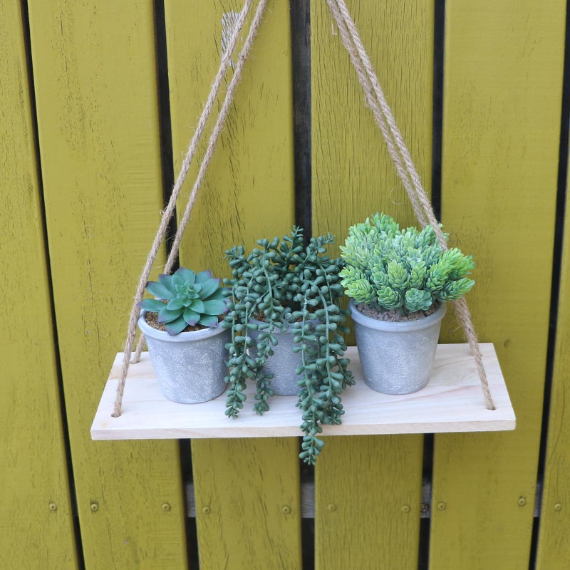 COTSEN 3 Pcs Artificial Succulents Potted Plants Assorted Fake Succulents Potted for Family Office Garden Interior Decor - Image 4