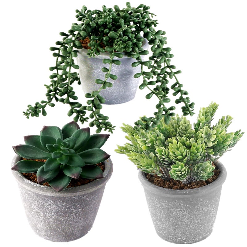 COTSEN 3 Pcs Artificial Succulents Potted Plants Assorted Fake Succulents Potted for Family Office Garden Interior Decor - Image 1