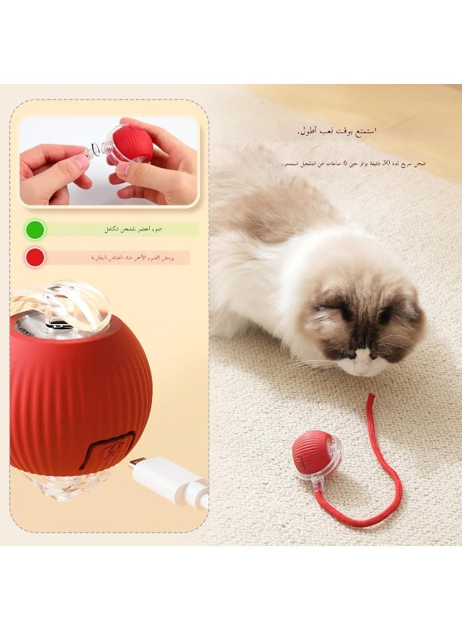 Interactive Rolling Pet Toy Ball, 360° Smart Automatic Self Rolling Cat Dog Ball Toys, Smart Interactive Pet Toy Ball, USB Rechargeable Cat Toys Ball, Automatic Electric Moving Ball Toy for Indoor Cat/Dog - Image 5