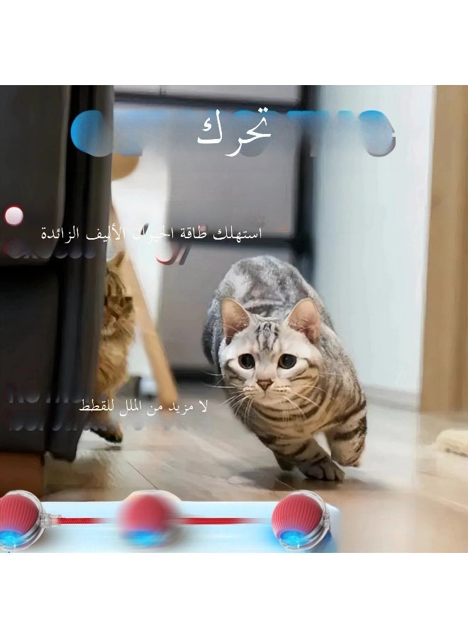 Interactive Rolling Pet Toy Ball, 360° Smart Automatic Self Rolling Cat Dog Ball Toys, Smart Interactive Pet Toy Ball, USB Rechargeable Cat Toys Ball, Automatic Electric Moving Ball Toy for Indoor Cat/Dog - Image 4