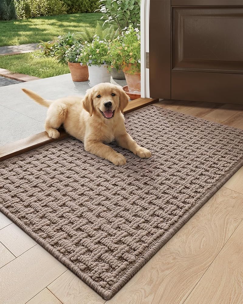 DEXI Front Door Mat Indoor Rug Washable 44 x 76 cm, Beige - Image 1