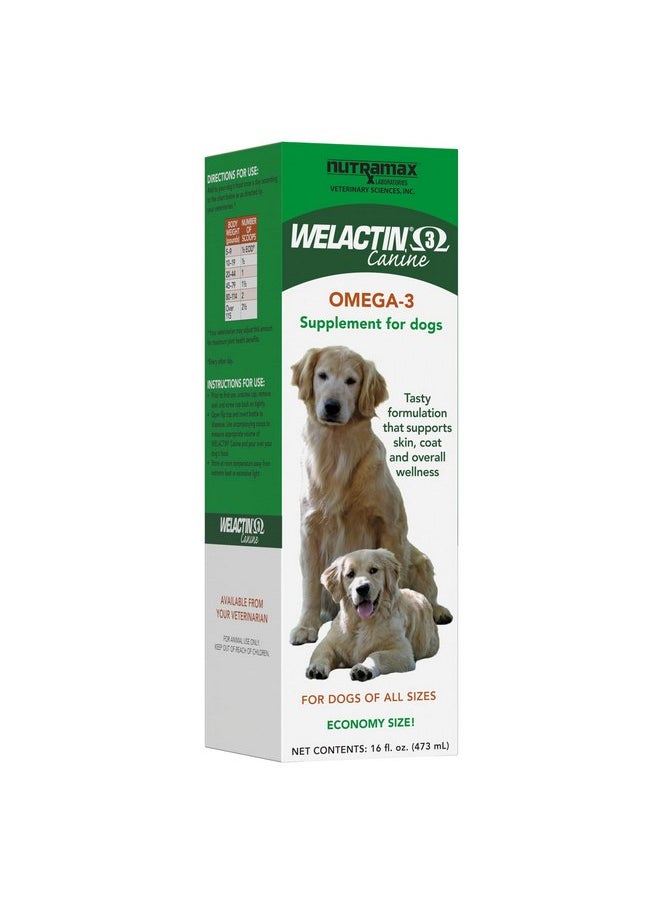 Nutramax Laboratories Nutramax Welactin Omega-3 Fish Oil Skin and Coat Health Supplement Liquid for Dogs - 16 Ounce  - Image 1