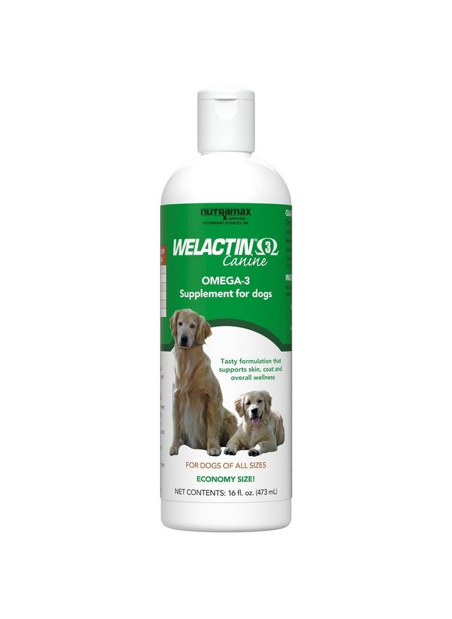 Nutramax Laboratories Nutramax Welactin Omega-3 Fish Oil Skin and Coat Health Supplement Liquid for Dogs - 16 Ounce  - Image 2