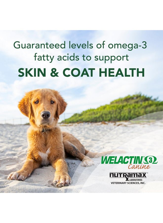 Nutramax Laboratories Nutramax Welactin Omega-3 Fish Oil Skin and Coat Health Supplement Liquid for Dogs - 16 Ounce  - Image 5