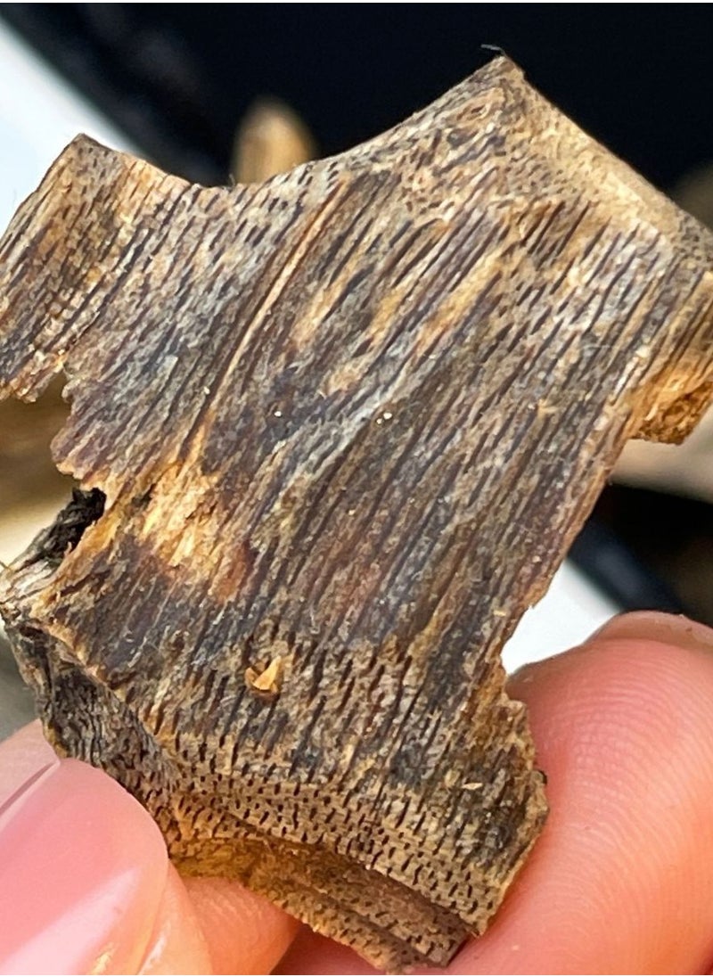 OUDALSOUD - 24g Natural Cambodia Agarwood Oud/ Golden Kynam Countess - Image 1