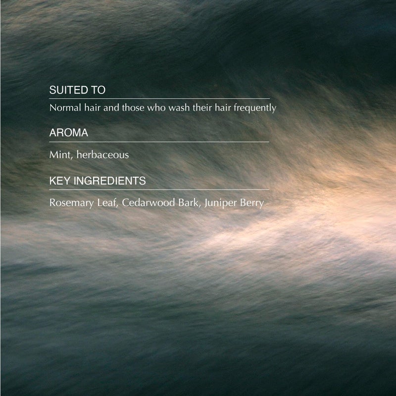 Aesop Classic Shampoo | Gentle Formulation | Leaves Hair Shiny, Soft, Freshened | Rosemary Leaf, Cedarwood Bark, Juniper Berry | 16.9 oz / 500mL - Image 3