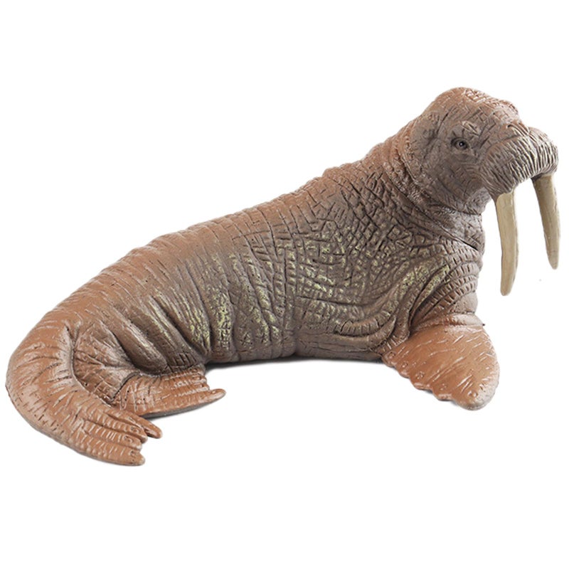 AENIMELY Hollow Walrus Figurine Realistic Arctic Ocean Animal Figurines for Kids Educational Marine Life Model Cake Topper STEM Gift - Image 3