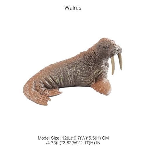 AENIMELY Hollow Walrus Figurine Realistic Arctic Ocean Animal Figurines for Kids Educational Marine Life Model Cake Topper STEM Gift - Image 5