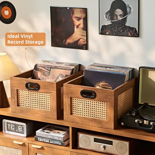 LELELINKY Vinyl Record Storage Crate, Rattan Vinyl Record Holder with Handle, Wood Record Crate for Vinyls Holder up to 75 LP's, Desktop Cube Album Storage for Vinyls Records(Tea Brown) - Image 3