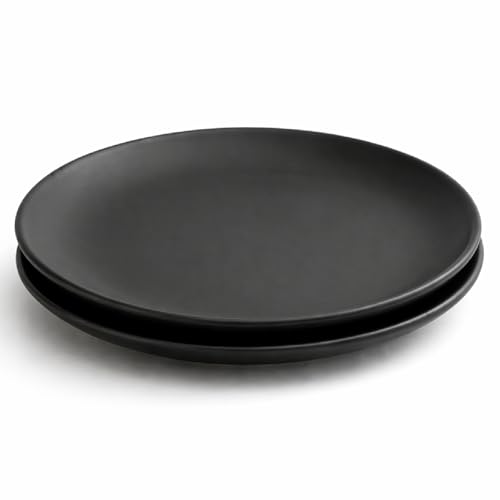 SEPARATE WAY Ceramic 10 Inch Matt Black Dinner Plates Set of 2, Serving for Lunch, Dinner & Breakfast Microwave & Dishwasher Safe - Image 1