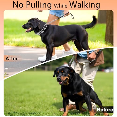 DEYACE Stainless Steel Dog Training Collar, Quick Release Buckle, Adjustable Collar for Large Dogs Neck Girth 12"-17“ - Image 5