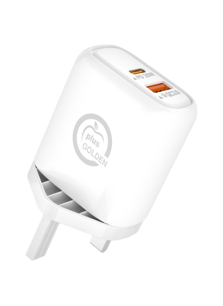 GOLDEN PLUS - Power AdapterPower Adapter 25W  PD &USB - Image 1
