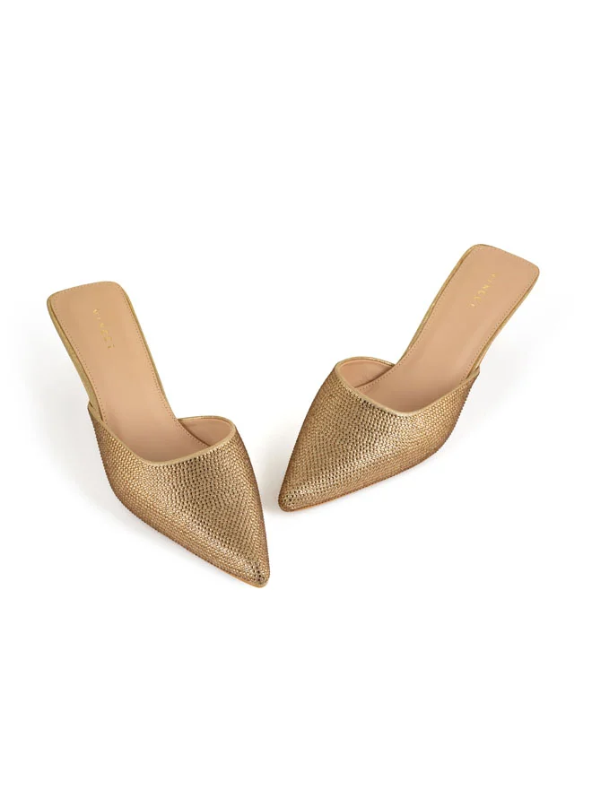 Vincci Women Pointed Toe Low Heel pumps