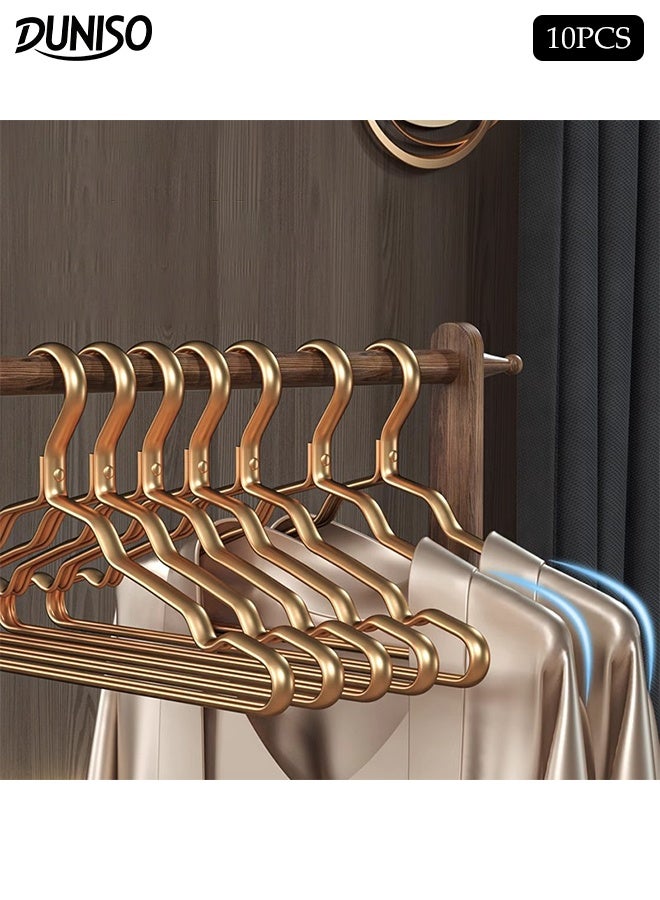 DUNISO 10PCS Quality Aluminum Alloy Clothes Hangers Heavy Duty Clothes Hangers with Non-Slip Notches Space Saving Storage Organiser Hangers Solid Aluminum Alloy Hangers Suit Hangers with Non-Slip Hanging Bar for Shirt Pants Dress - Image 1