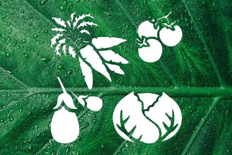 STENCILAIR Garden Plant Stencil - for DIY Gardening Projects, Plant-Themed Art, and Creative Outdoor Decor - 5.5 x 5.5 Inches - Image 2