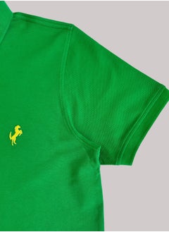 Horse Polo Classic Polo Shirt, Grass Green - pzsku/Z002EDFB392DF3F8E614DZ/45/_/1712088267/6834d4ac-8928-47fa-9ff5-68207a7a5e29