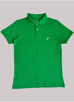 Horse Polo Classic Polo Shirt, Grass Green - pzsku/Z002EDFB392DF3F8E614DZ/45/_/1712507788/035fb158-132e-47f4-b4e7-e030d6b53bf5