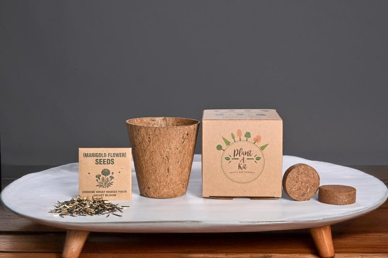 Eco-neutral طقم زراعة النباتات الشامل الصديق للبيئة مع بذور زهور الماريغولد | وعاء جوز الهند القابل للتحلل وقرص التربة العضوية | طقم بدء زراعة سهل في الداخل | هدية صديقة للبيئة للمنزل والمكتب والأطفال - Image 5