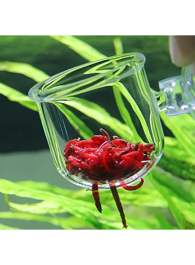 3 Pcs Acrylic Aquarium Water Grass Cup with Suction Cup 2 In 1 Aquatic Plant Pot Rack Red Worm Feeder Fish Tank Feeding Cup Small - Image 4