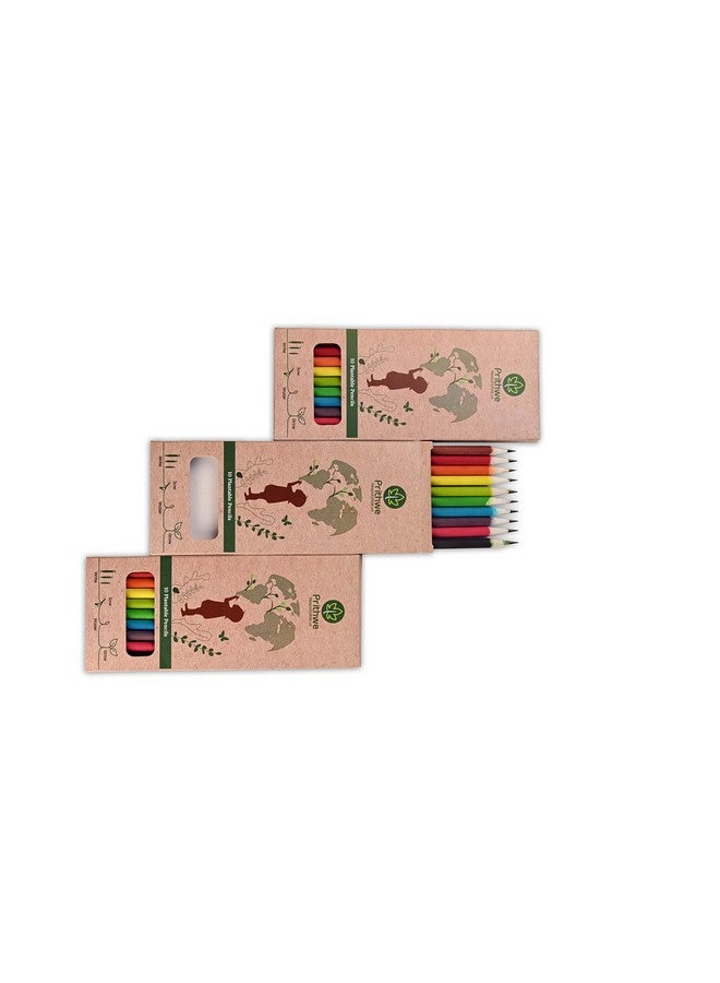 Prithwe Ecofriendly Recycled Plantable Seed Pencils (Black Lead) - Image 4