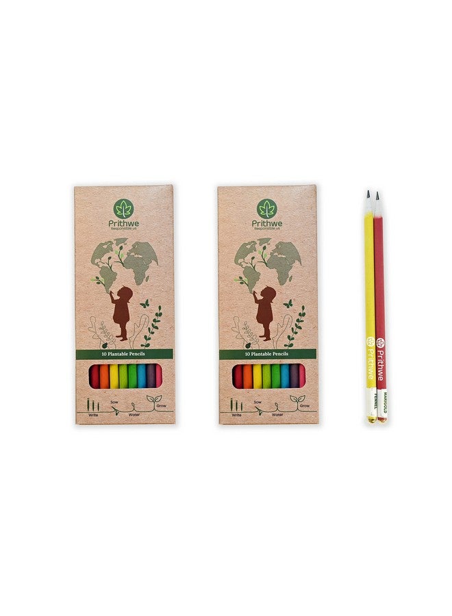 Prithwe Ecofriendly Recycled Plantable Seed Pencils (Black Lead) - Image 1